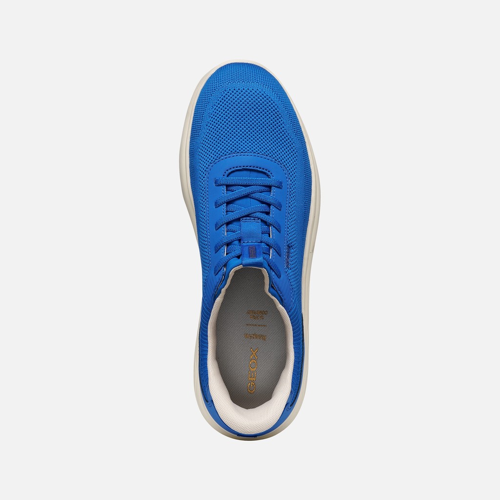 Slip in sneakers SPHERICA PLUS MAN Royal - image number 5 | GEOX