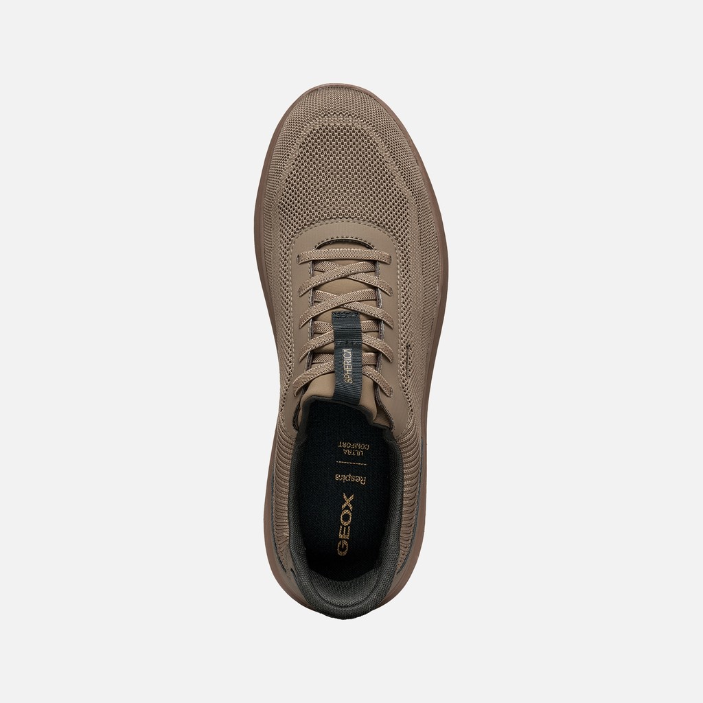 Slip in sneakers SPHERICA PLUS MAN Taupe/Dove grey - image number 5 | GEOX