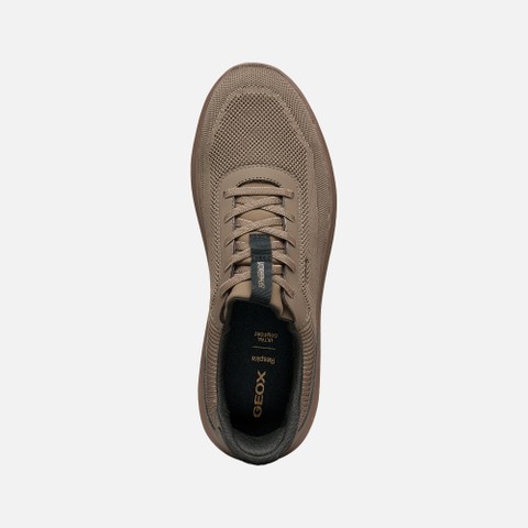 Slip in sneakers SPHERICA PLUS MAN Taupe/Dove grey - image number 5 | GEOX