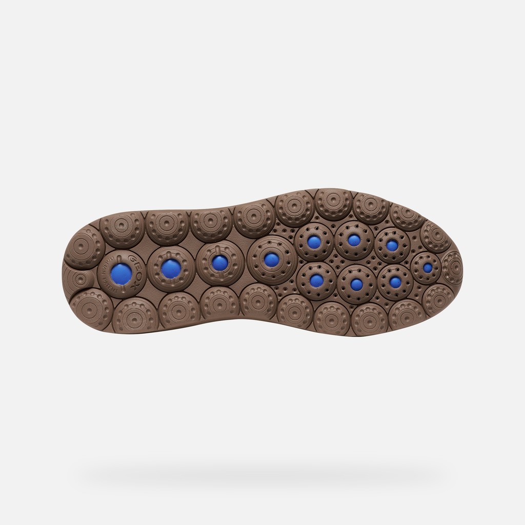 Slip in sneakers SPHERICA PLUS MAN Taupe/Dove grey - image number 6 | GEOX