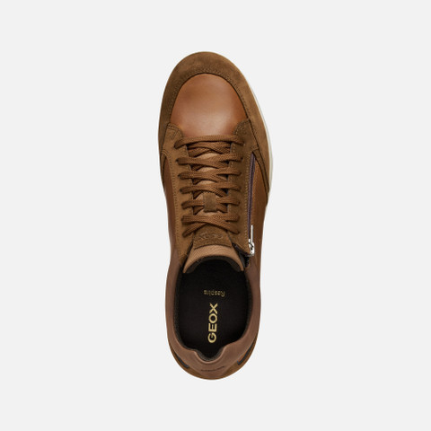 Low top sneakers RENAN MAN Brown cotto - image number 5 | GEOX