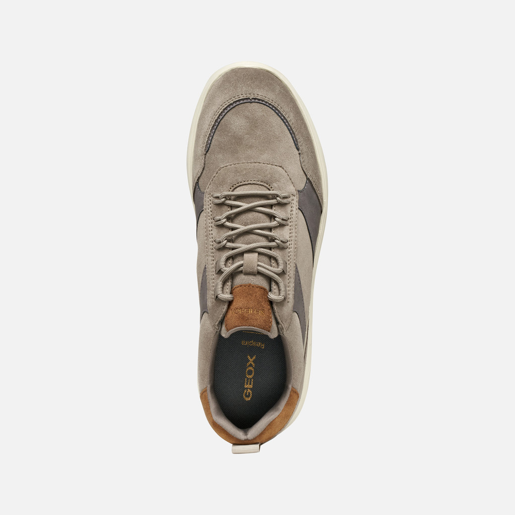 Low top sneakers SPHERICA MAN Dove grey/Graphite - image number 5 | GEOX