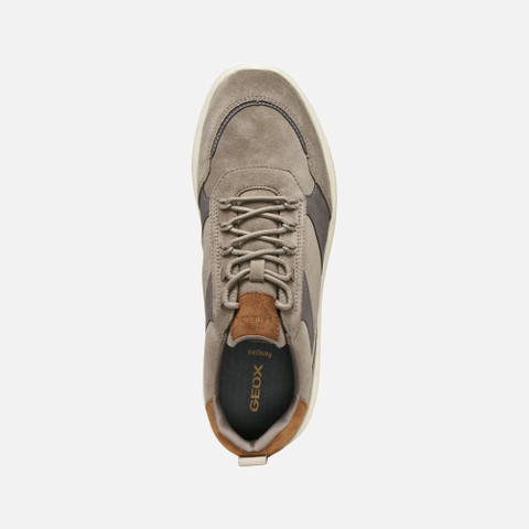 Low top sneakers SPHERICA MAN Dove grey/Graphite - image number 5 | GEOX
