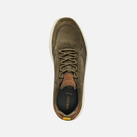Low top sneakers SPHERICA MAN Military/Browncotto - image number 5 | GEOX