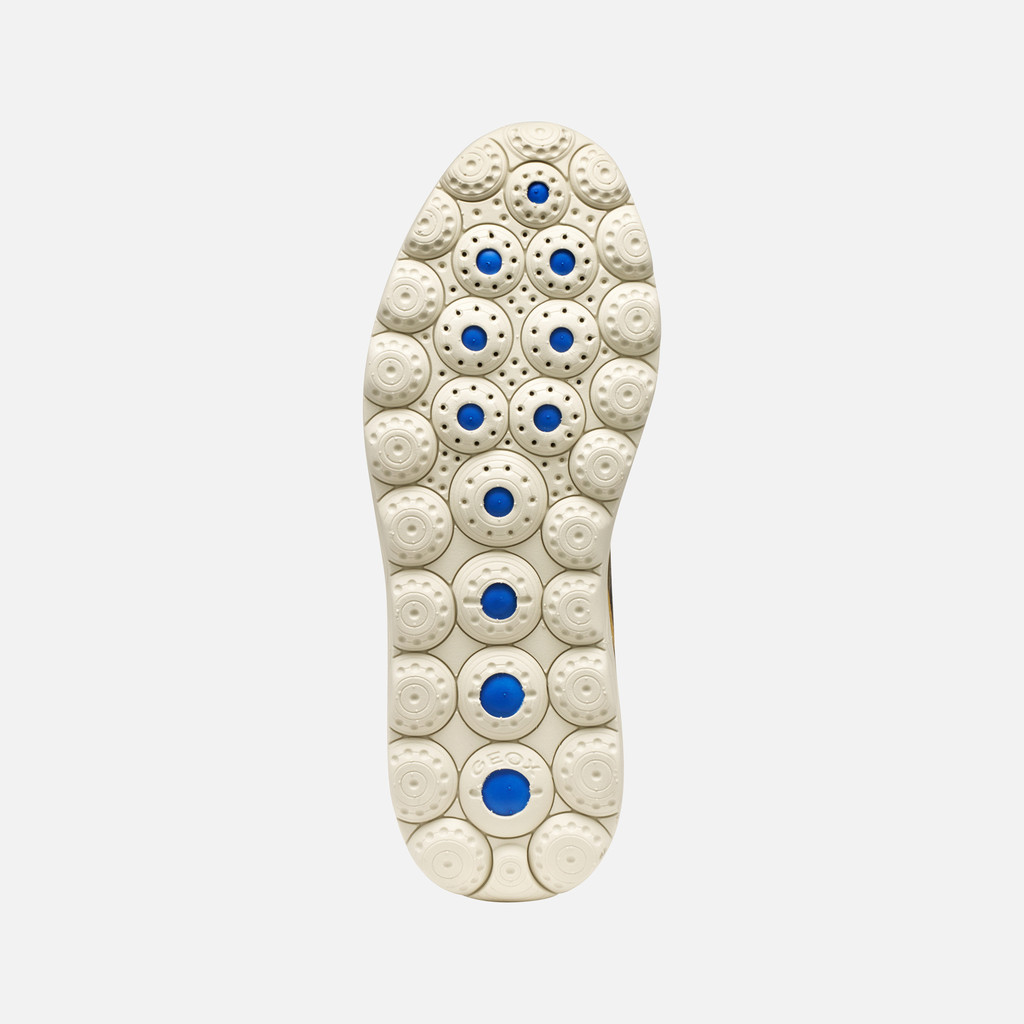 Low top sneakers SPHERICA MAN Military/Browncotto - image number 6 | GEOX