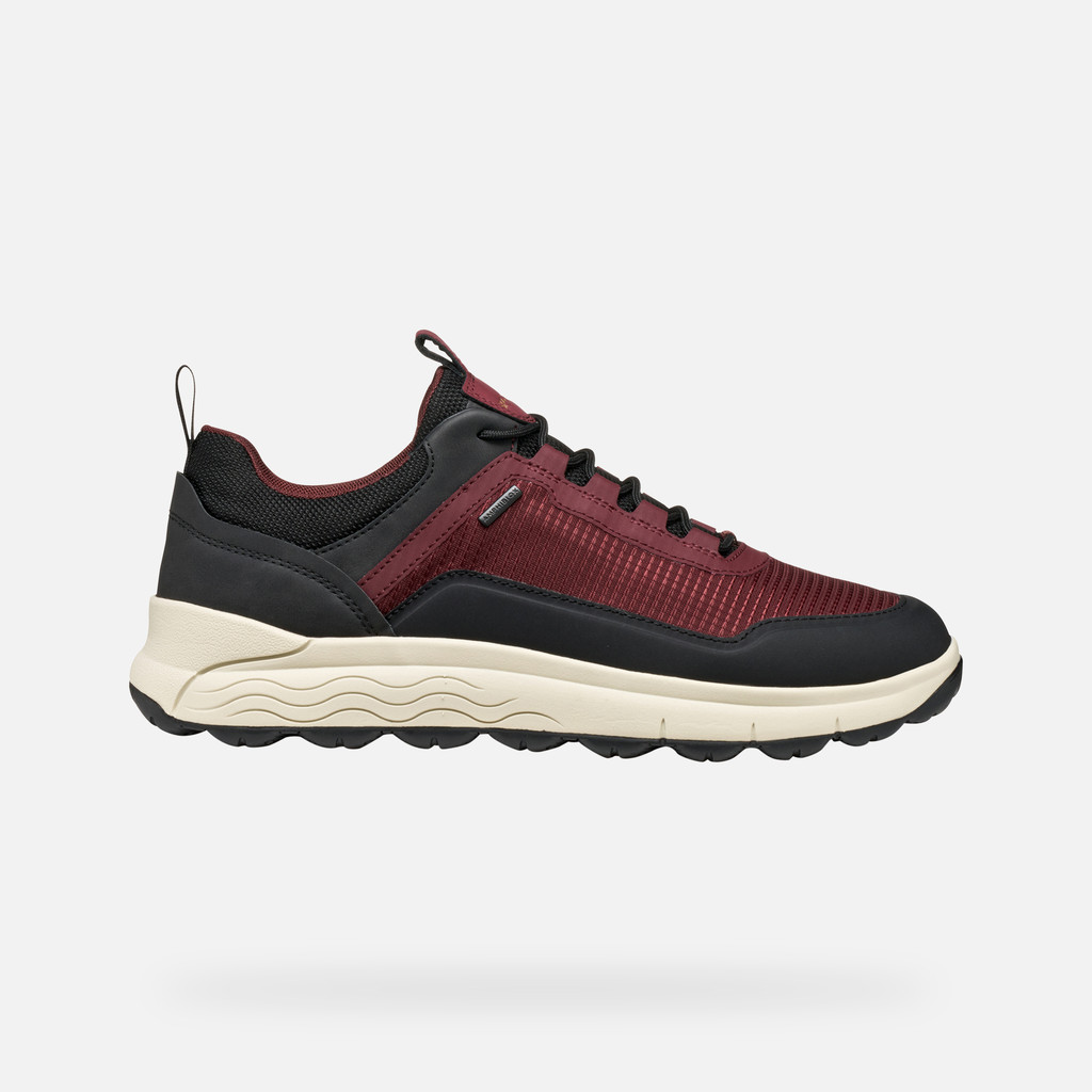 Waterproof trainers SPHERICA 4X4 ABX MAN Wine - image number 1 | GEOX