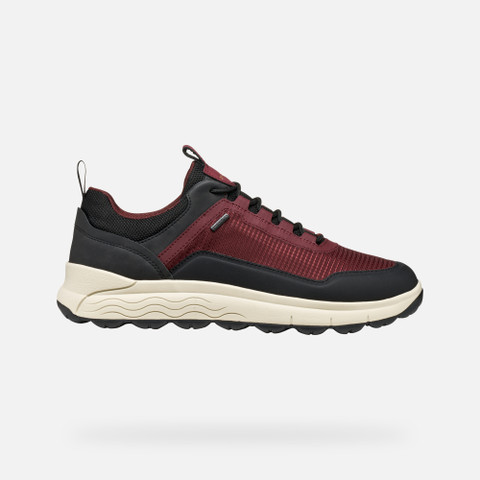 Waterproof trainers SPHERICA 4X4 ABX MAN Wine - image number 1 | GEOX