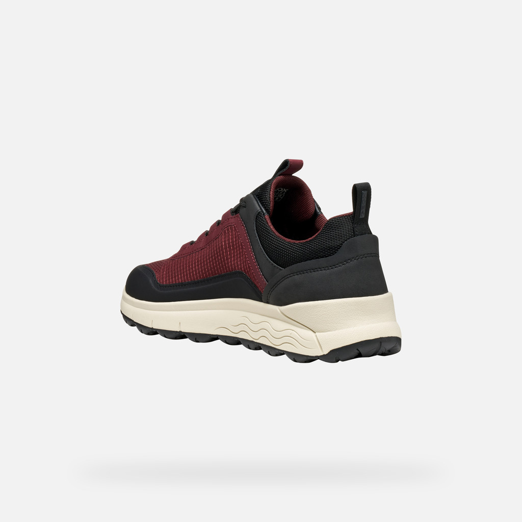 Waterproof trainers SPHERICA 4X4 ABX MAN Wine - image number 3 | GEOX