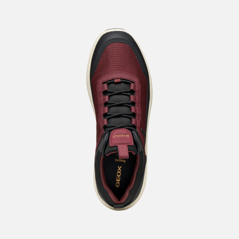 Waterproof trainers SPHERICA 4X4 ABX MAN Wine - image number 5 | GEOX