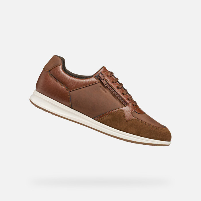 Low top sneakers AVERY MAN Brown cotto | GEOX