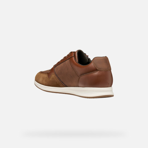 Low top sneakers AVERY MAN Brown cotto - image number 3 | GEOX