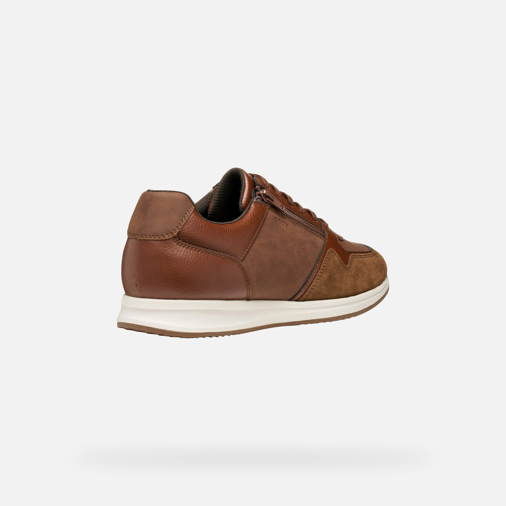 Low top sneakers AVERY MAN Brown cotto - image number 4 | GEOX