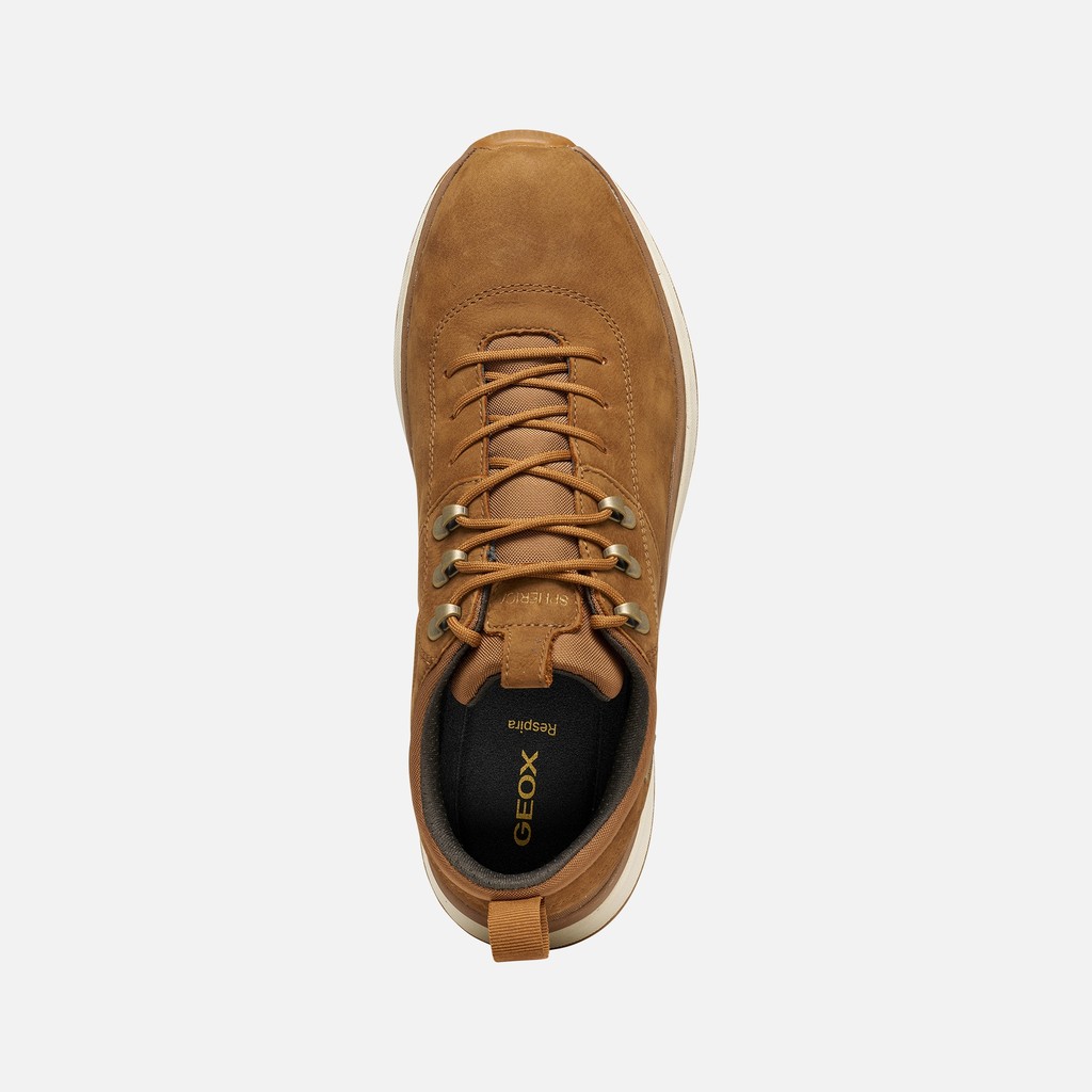 Waterproof trainers SPHERICA ACTIF X2 ABX MAN Nut - image number 6 | GEOX