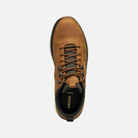 Waterproof trainers SPHERICA ACTIF X2 ABX MAN Mustard - image number 6 | GEOX