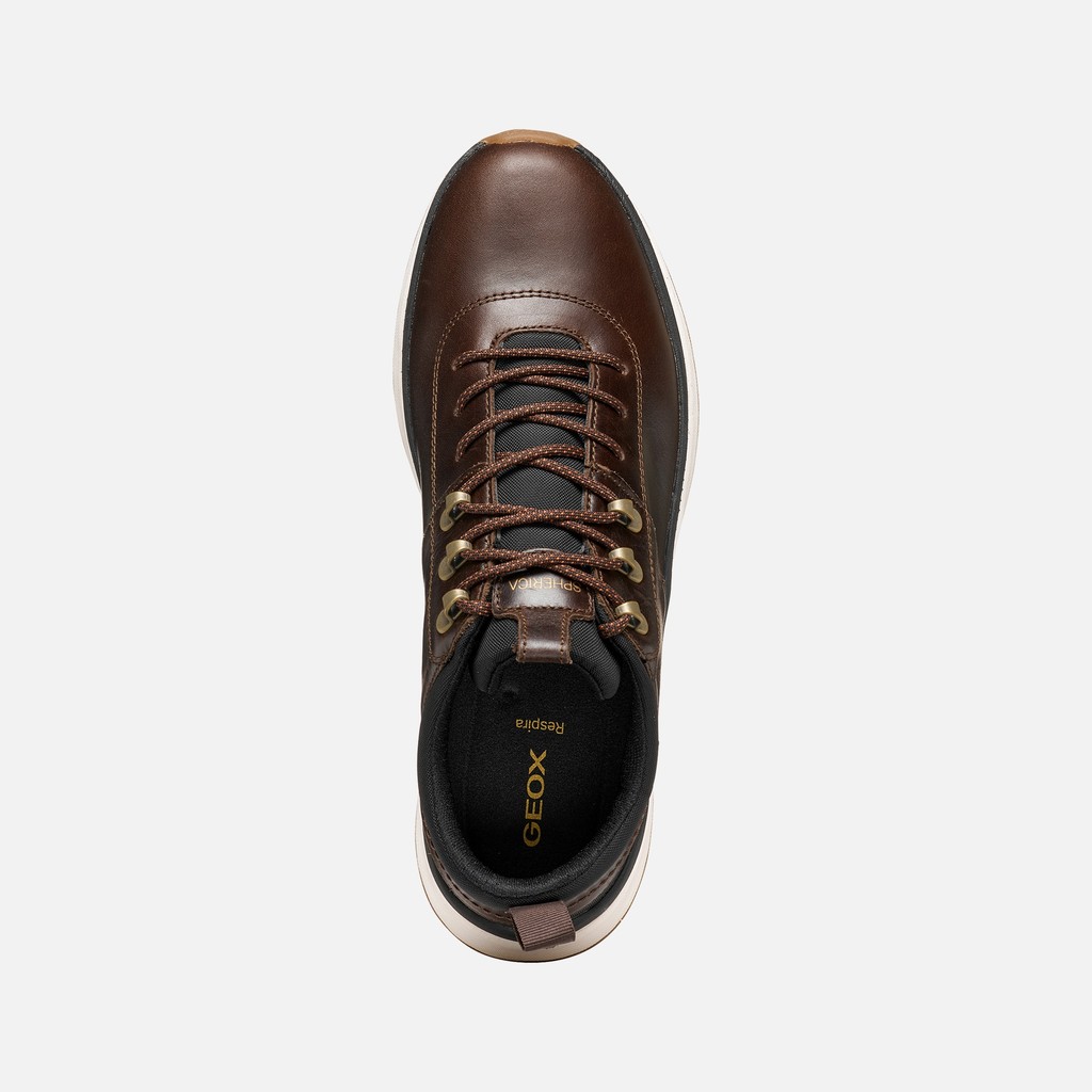 Sneakers imperm&eacute;ables SPHERICA ACTIF X2 ABX HOMME Marron fonc&eacute; - image number 6 | GEOX