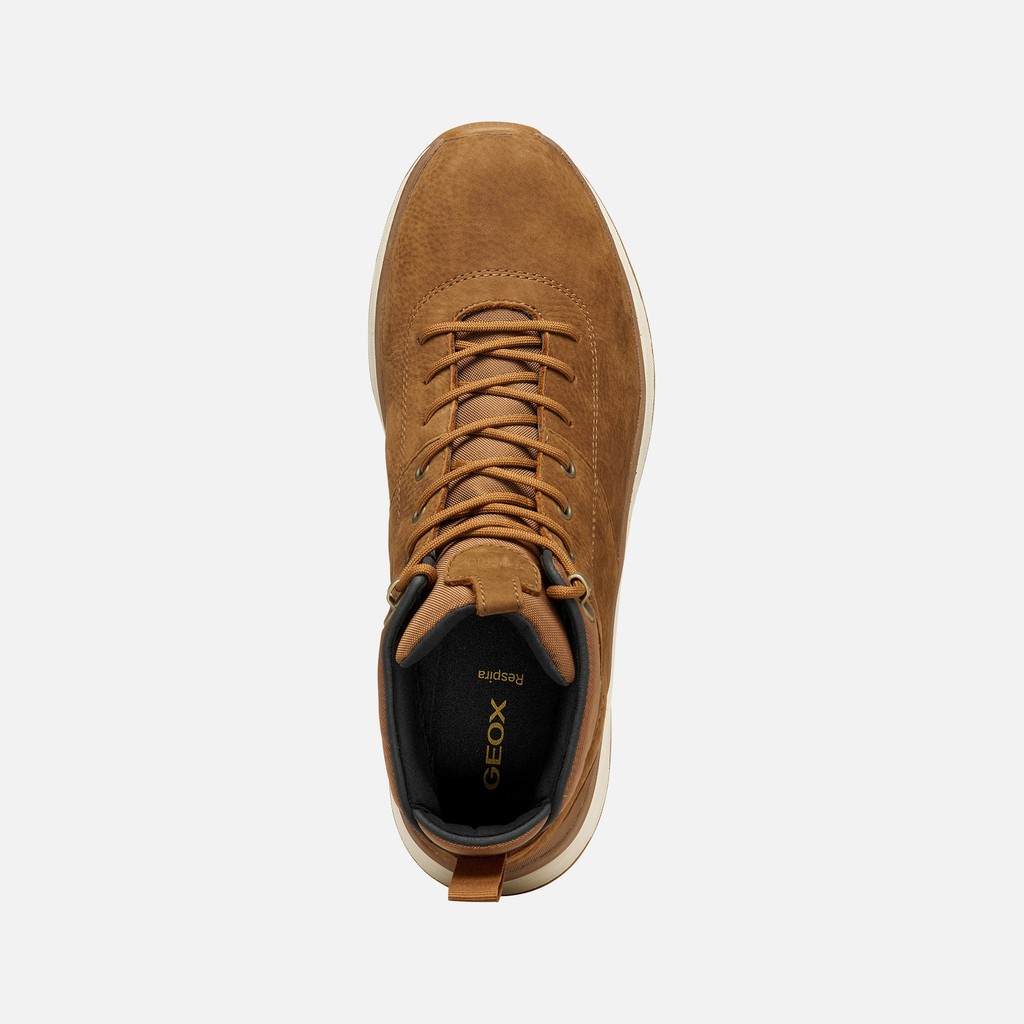 Waterproof ankle boots SPHERICA ACTIF X2 ABX MAN Nut - image number 6 | GEOX