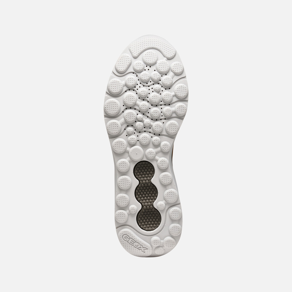 Low top sneakers SPHERICA ACTIF X1 MAN Dove Grey/Browncotto - image number 6 | GEOX