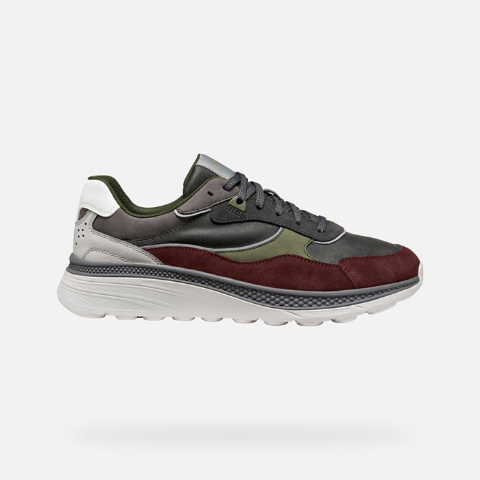 Low top sneakers SPHERICA ACTIF X1 MAN Graphite/Wine | GEOX