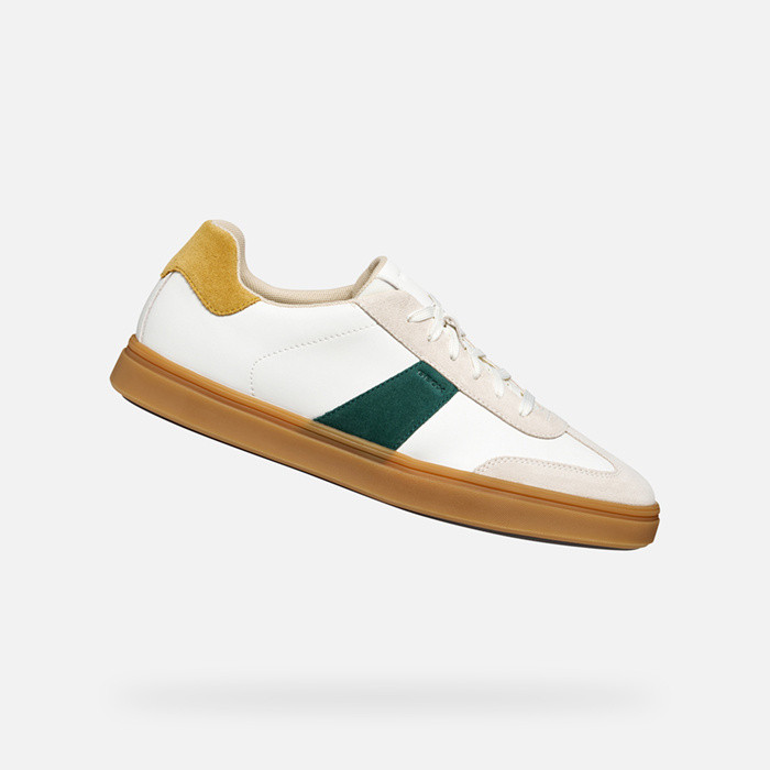 Sapatilhas baixas BALTMOORE HOMEM Branco/Verde | GEOX