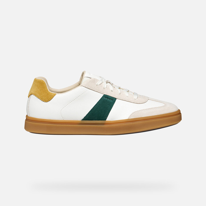 Low top sneakers BALTMOORE MAN White/Green | GEOX