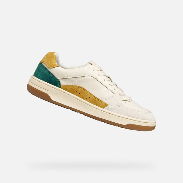 Baskets basse SEDRAL COURT HOMME Blanc cassé/Beige clair | GEOX