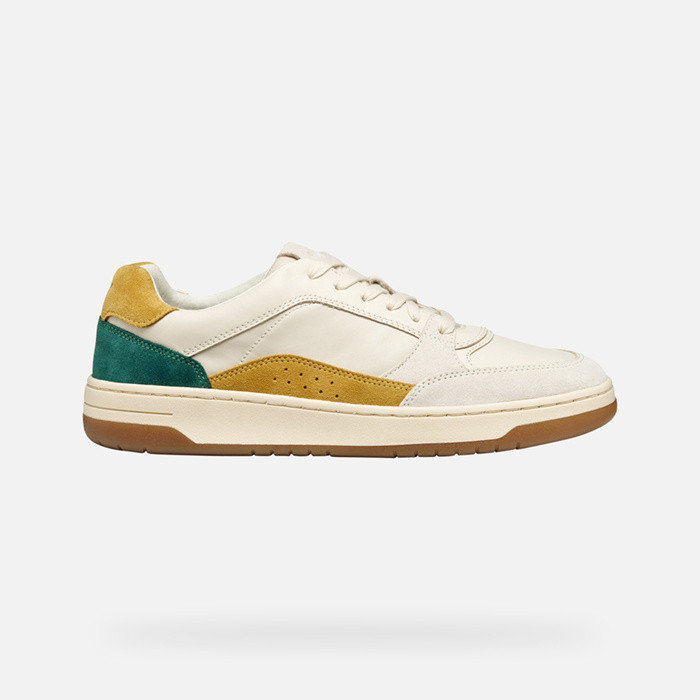 Low top sneakers SEDRAL COURT MAN Papyrus/Light sand | GEOX