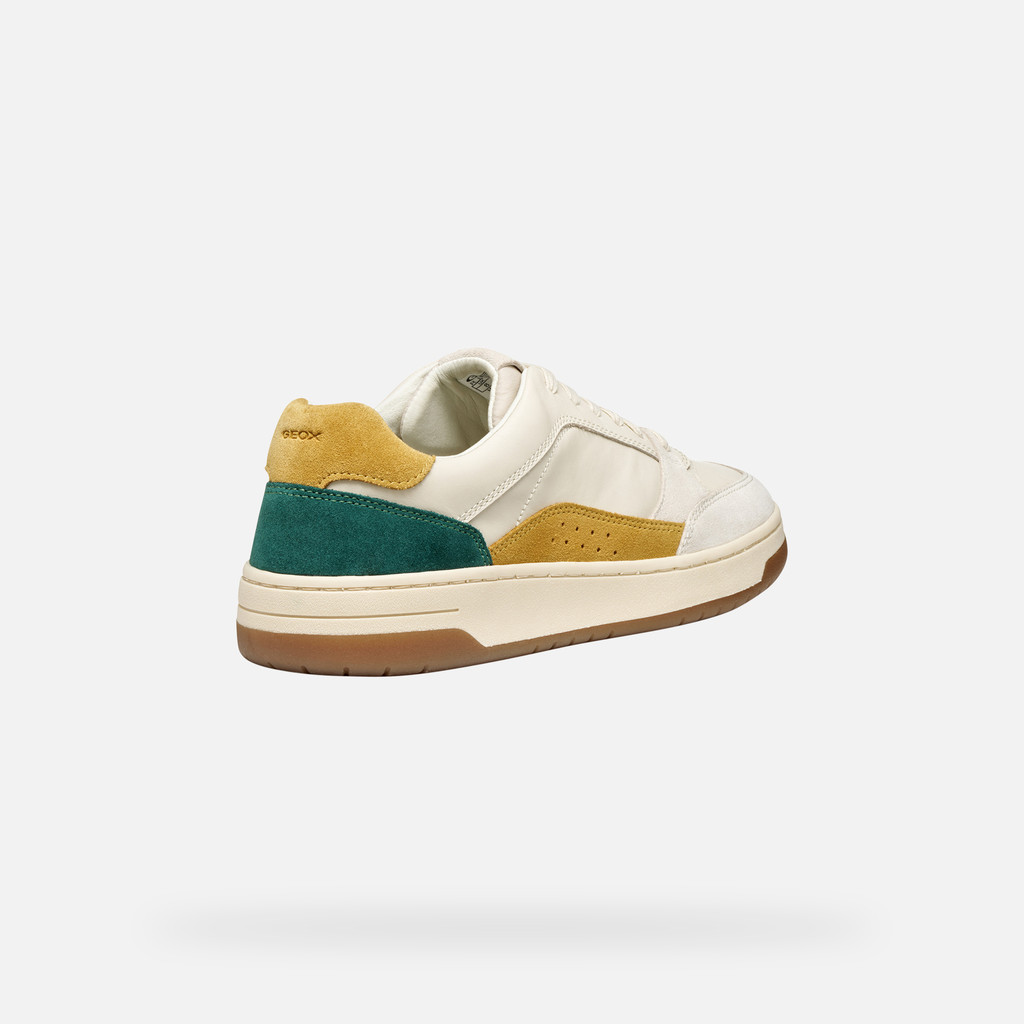 Low top sneakers SEDRAL COURT MAN Papyrus/Light sand - image number 4 | GEOX