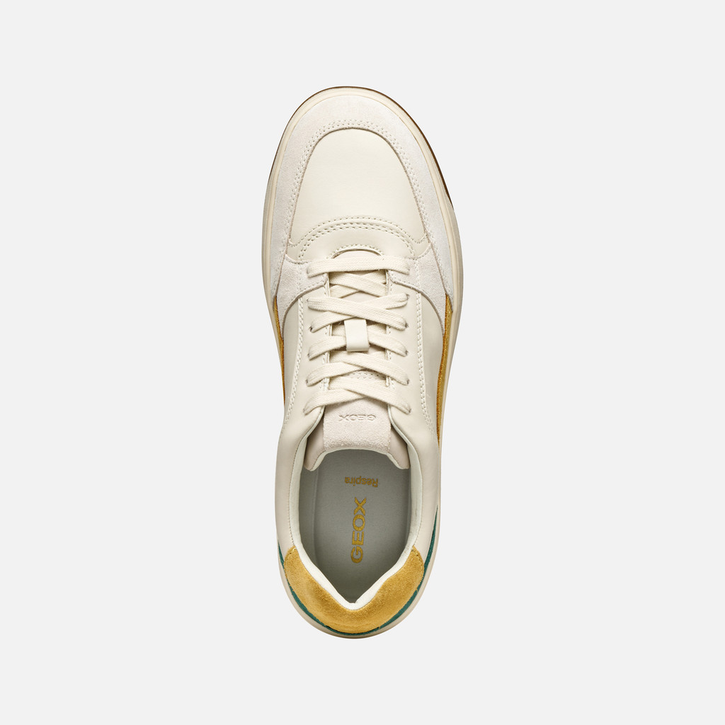 Low top sneakers SEDRAL COURT MAN Papyrus/Light sand - image number 5 | GEOX