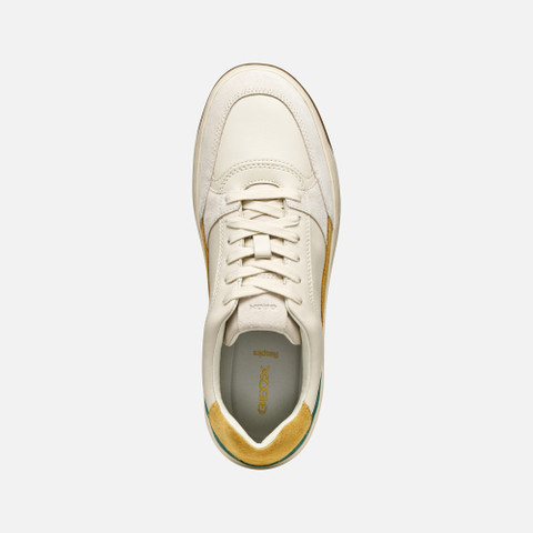 Low top sneakers SEDRAL COURT MAN Papyrus/Light sand - image number 5 | GEOX
