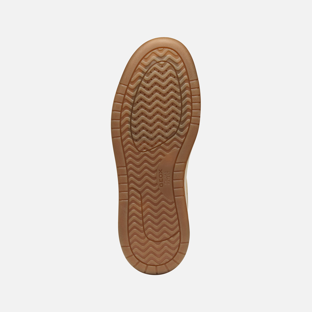 Low top sneakers SEDRAL COURT MAN Papyrus/Light sand - image number 6 | GEOX