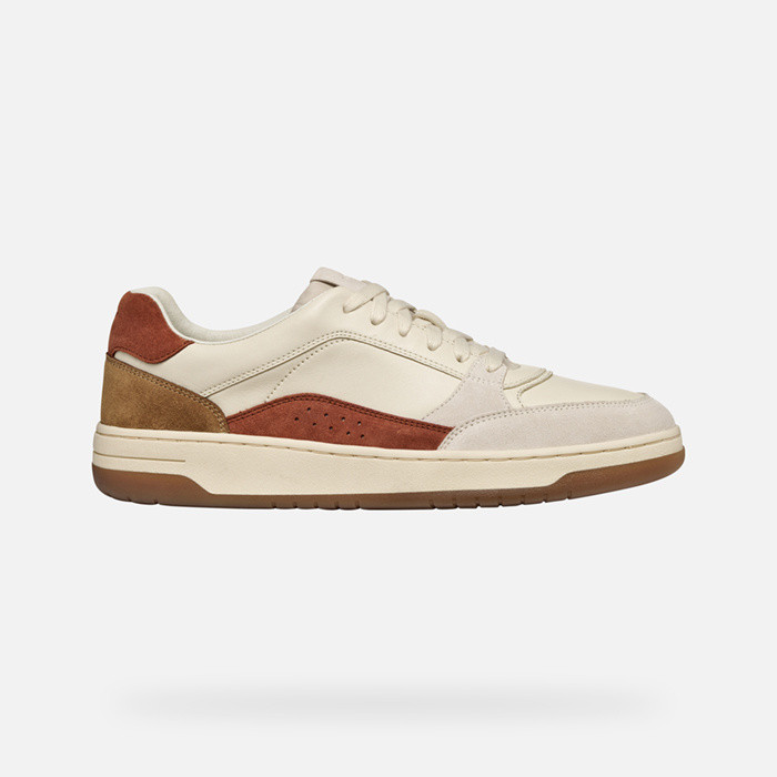 Low top sneakers SEDRAL COURT MAN Papyrus | GEOX