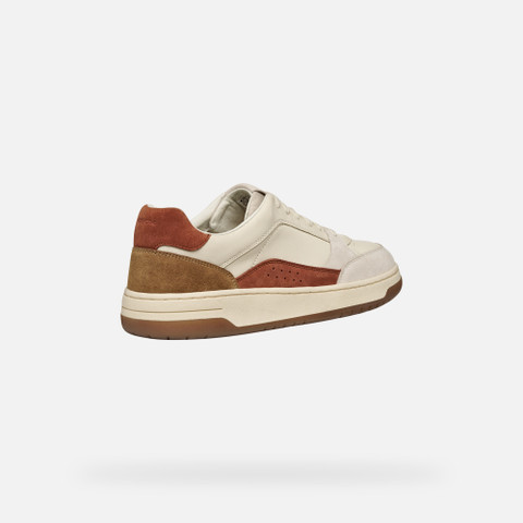 Low top sneakers SEDRAL COURT MAN Papyrus - image number 4 | GEOX