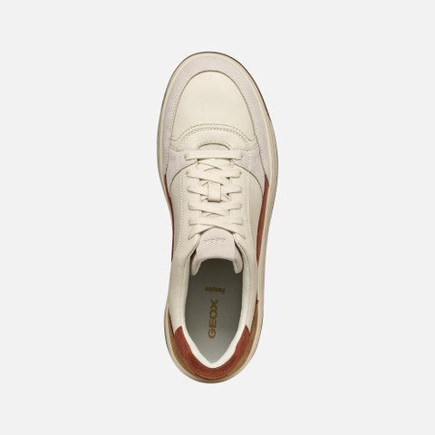 Low top sneakers SEDRAL COURT MAN Papyrus - image number 5 | GEOX
