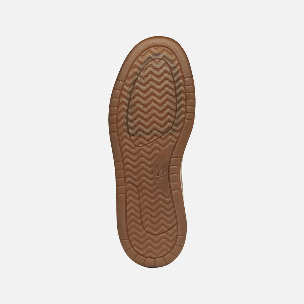 Low top sneakers SEDRAL COURT MAN Papyrus - image number 6 | GEOX