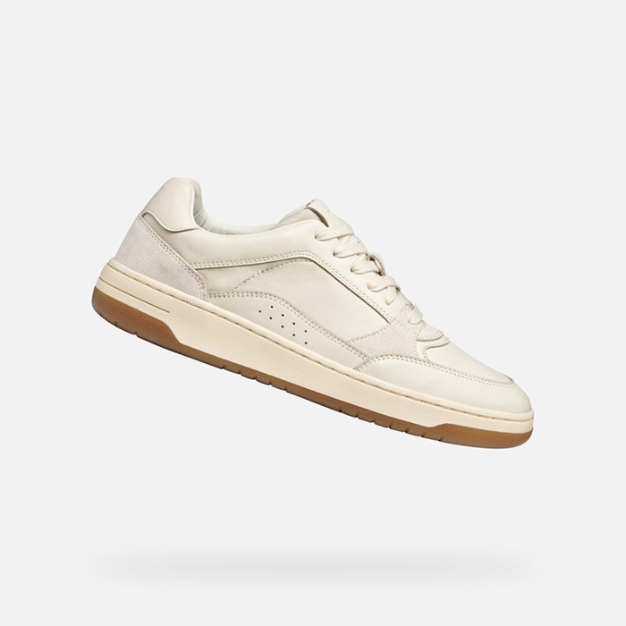 Sapatilhas baixas SEDRAL COURT HOMEM Branco leite/Bege | GEOX