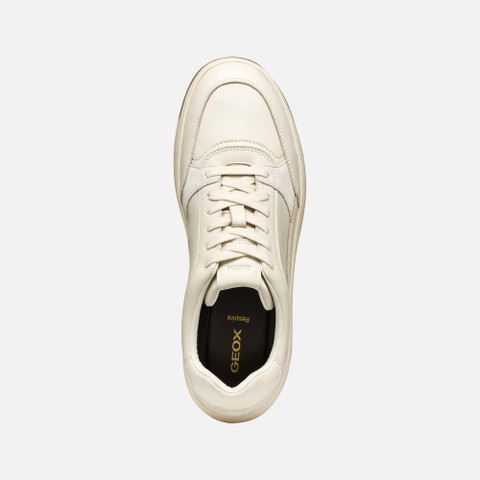 Low top sneakers SEDRAL COURT MAN Papyrus/Beige - image number 5 | GEOX