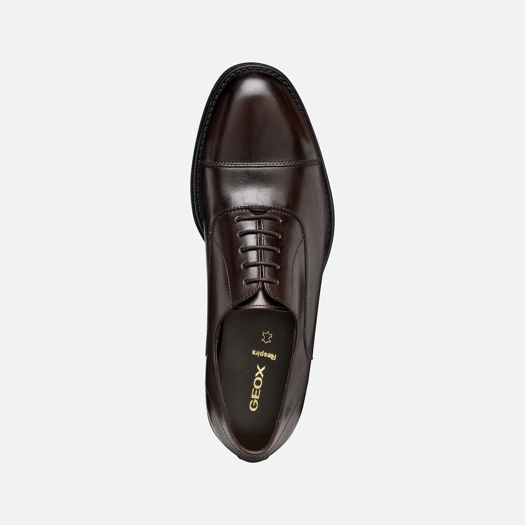Leather shoes BARBERIGO MAN Coffee - image number 5 | GEOX