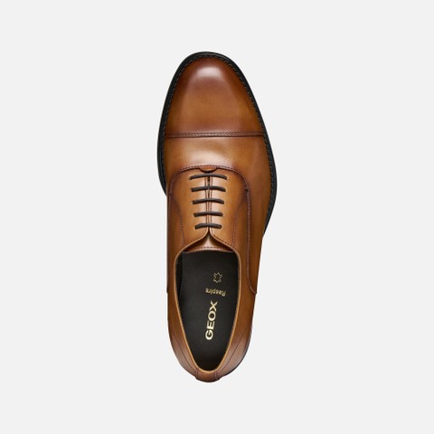 Leather shoes BARBERIGO MAN Cognac - image number 5 | GEOX