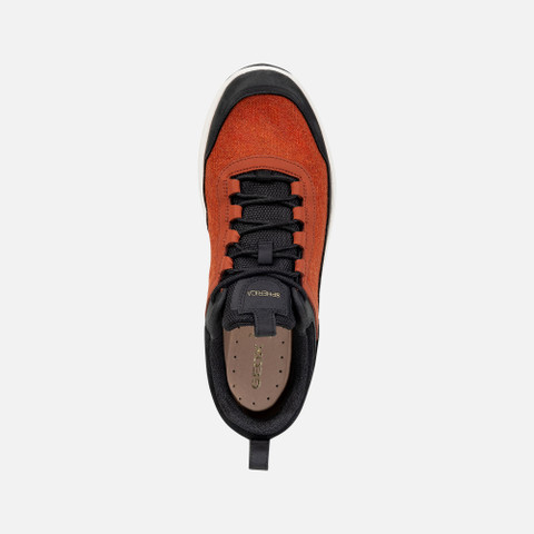 Low top sneakers SPHERICA 4X4 MAN Dark Orange/Black - image number 5 | GEOX