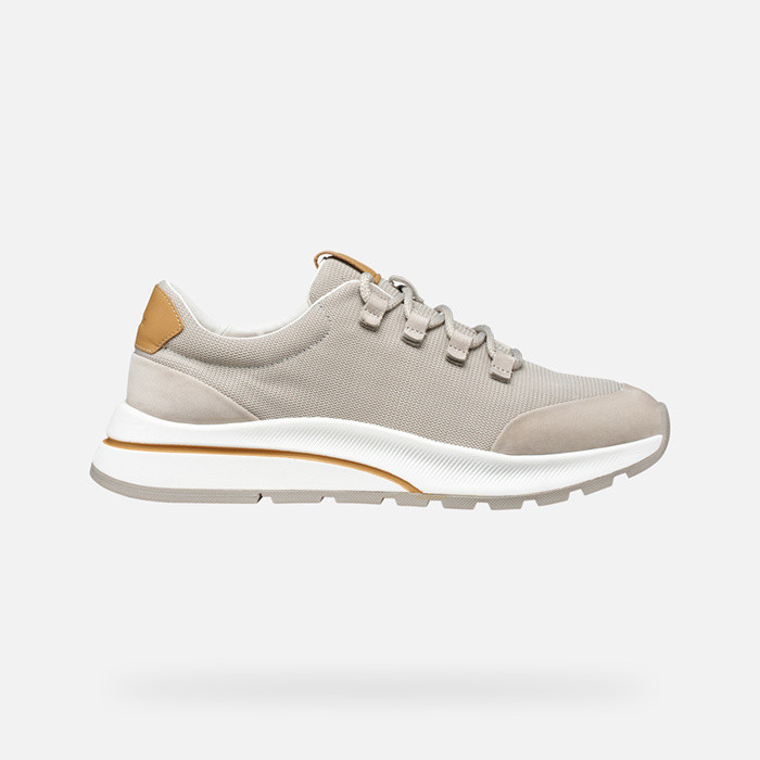 Low top sneakers URBANGLIDER MAN Sand | GEOX