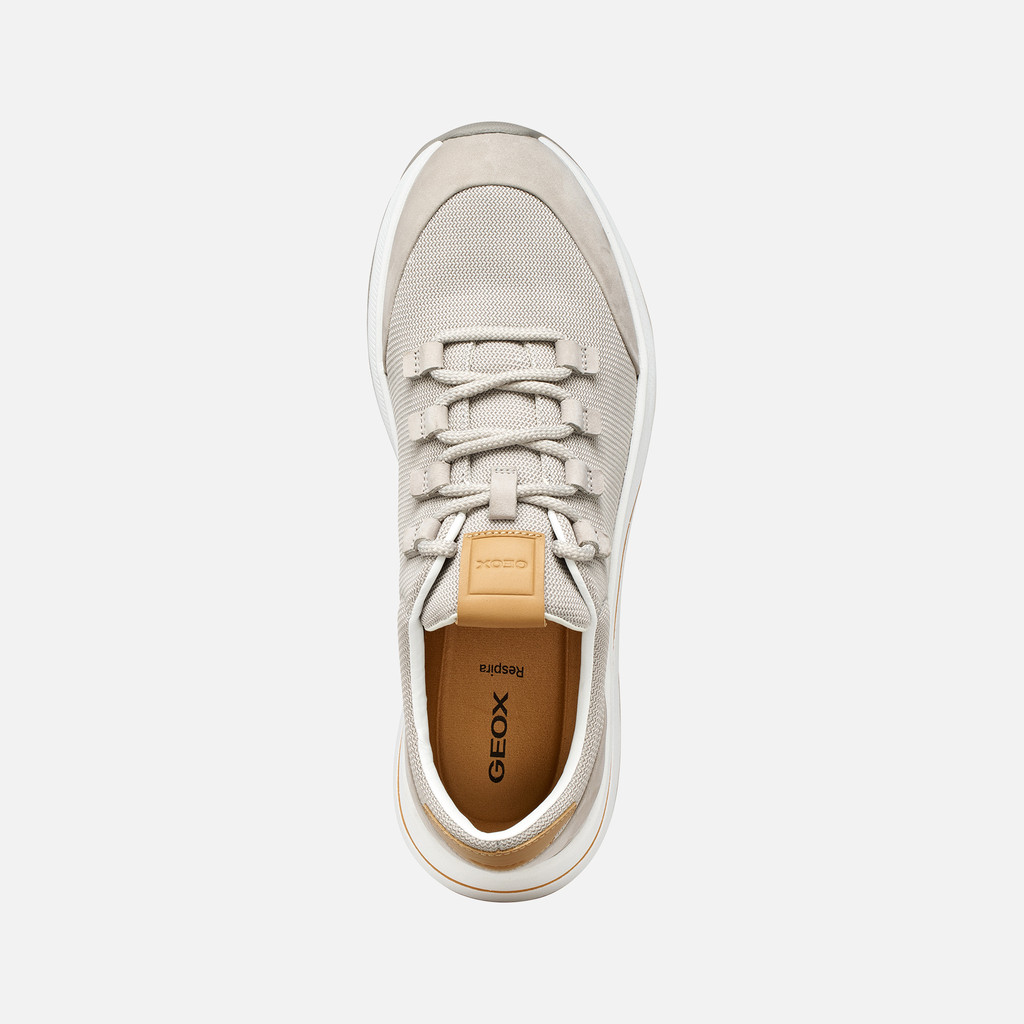 Low top sneakers URBANGLIDER MAN Sand - image number 6 | GEOX