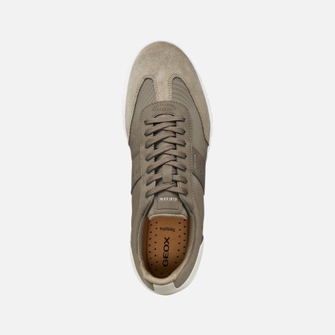 Baskets basse FLEXTRIDE ZERO HOMME Taupe - image number 5 | GEOX