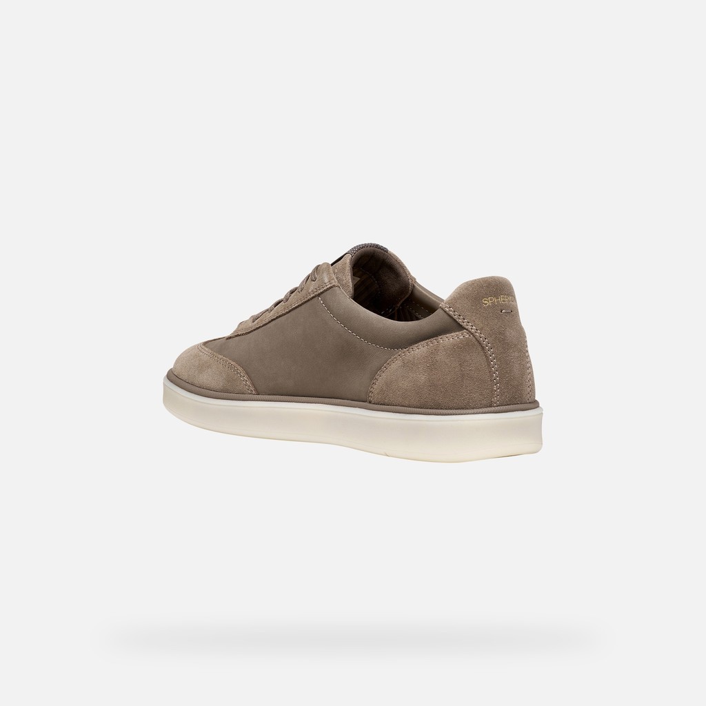 Leather sneakers SPHERICA ACTIF X4 MAN Dove Gray - image number 3 | GEOX