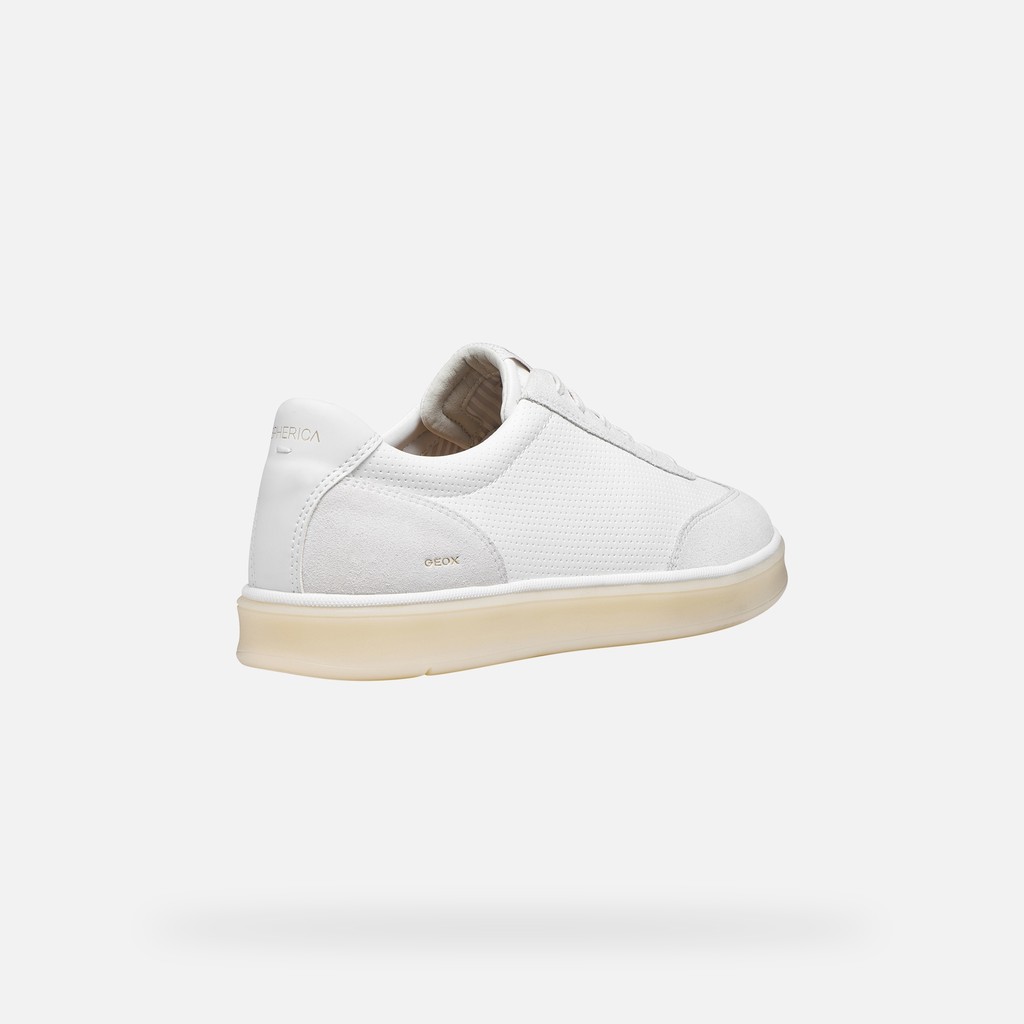 Low top sneakers SPHERICA ACTIF X4 MAN White/Off White - image number 5 | GEOX