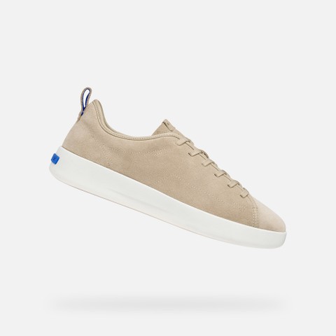 Baskets en cuir GXCP-01 HOMME Beige clair | GEOX