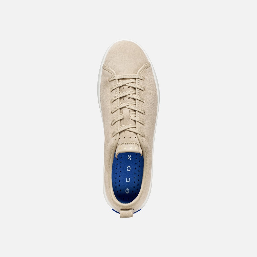 Baskets en cuir GXCP-01 HOMME Beige clair - image number 5 | GEOX