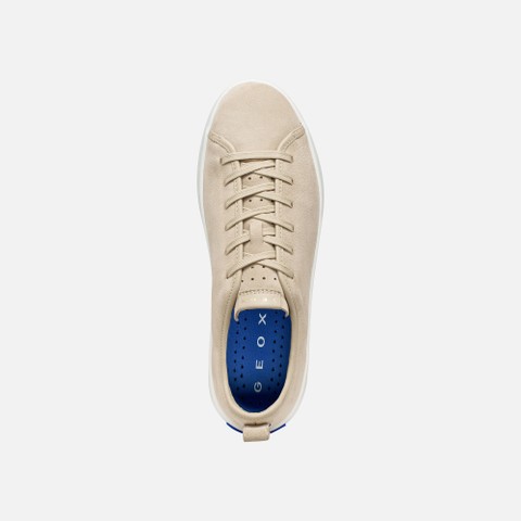 Baskets en cuir GXCP-01 HOMME Beige clair - image number 5 | GEOX
