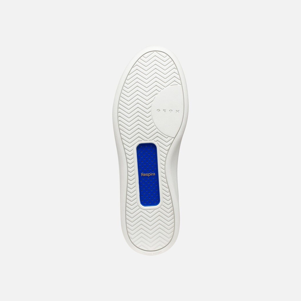 Baskets en cuir GXCP-01 HOMME Beige clair - image number 6 | GEOX