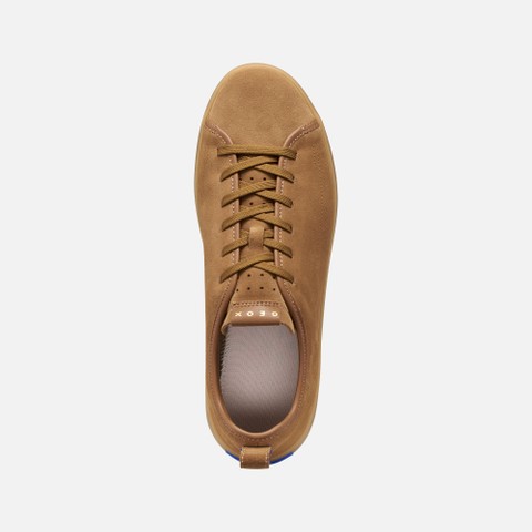 Leather sneakers GXCP-01 MAN Nut - image number 5 | GEOX