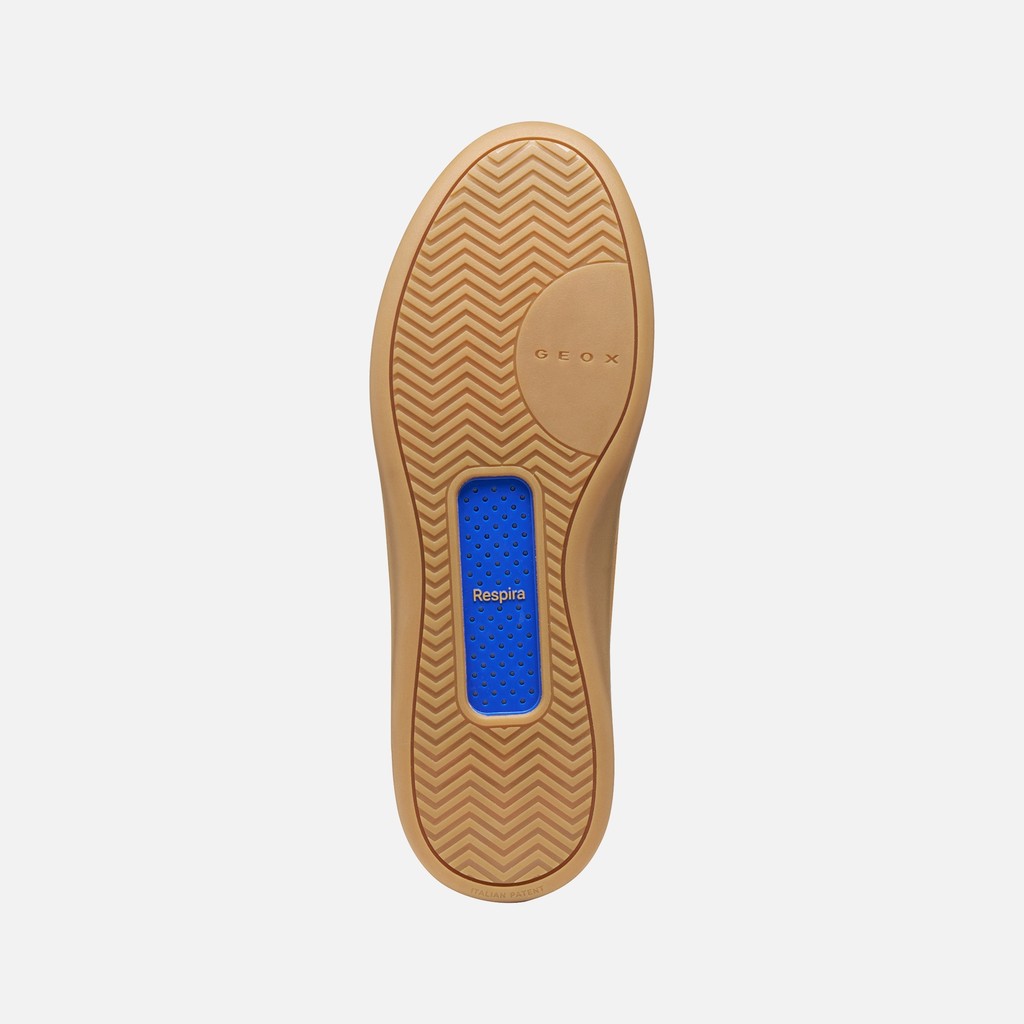 Leather sneakers GXCP-01 MAN Nut - image number 6 | GEOX